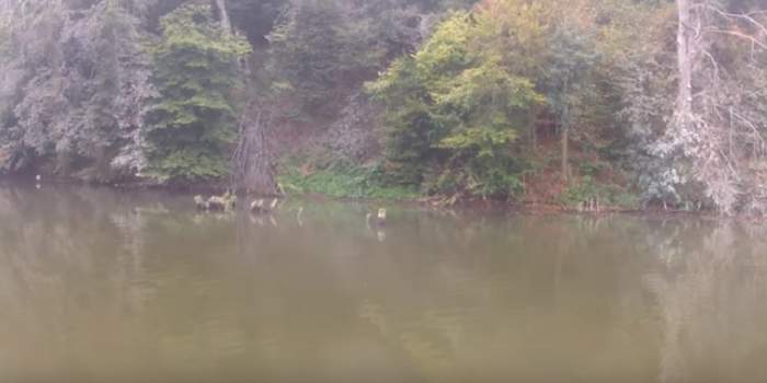 Descoperire șocantă în râul Olt. Trupul unei femei dispărute a fost găsit fără suflare
