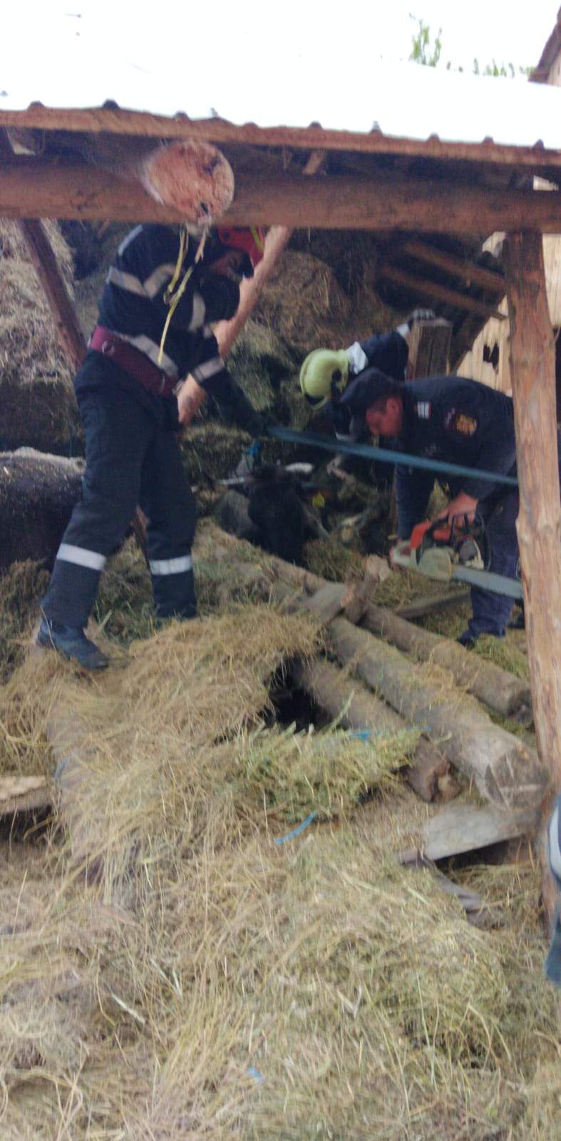 O persoană și 20 de vite, prinse sub dărâmăturile unui adăpost de animale. Salvatorii au intervenit de urgență / FOTOl