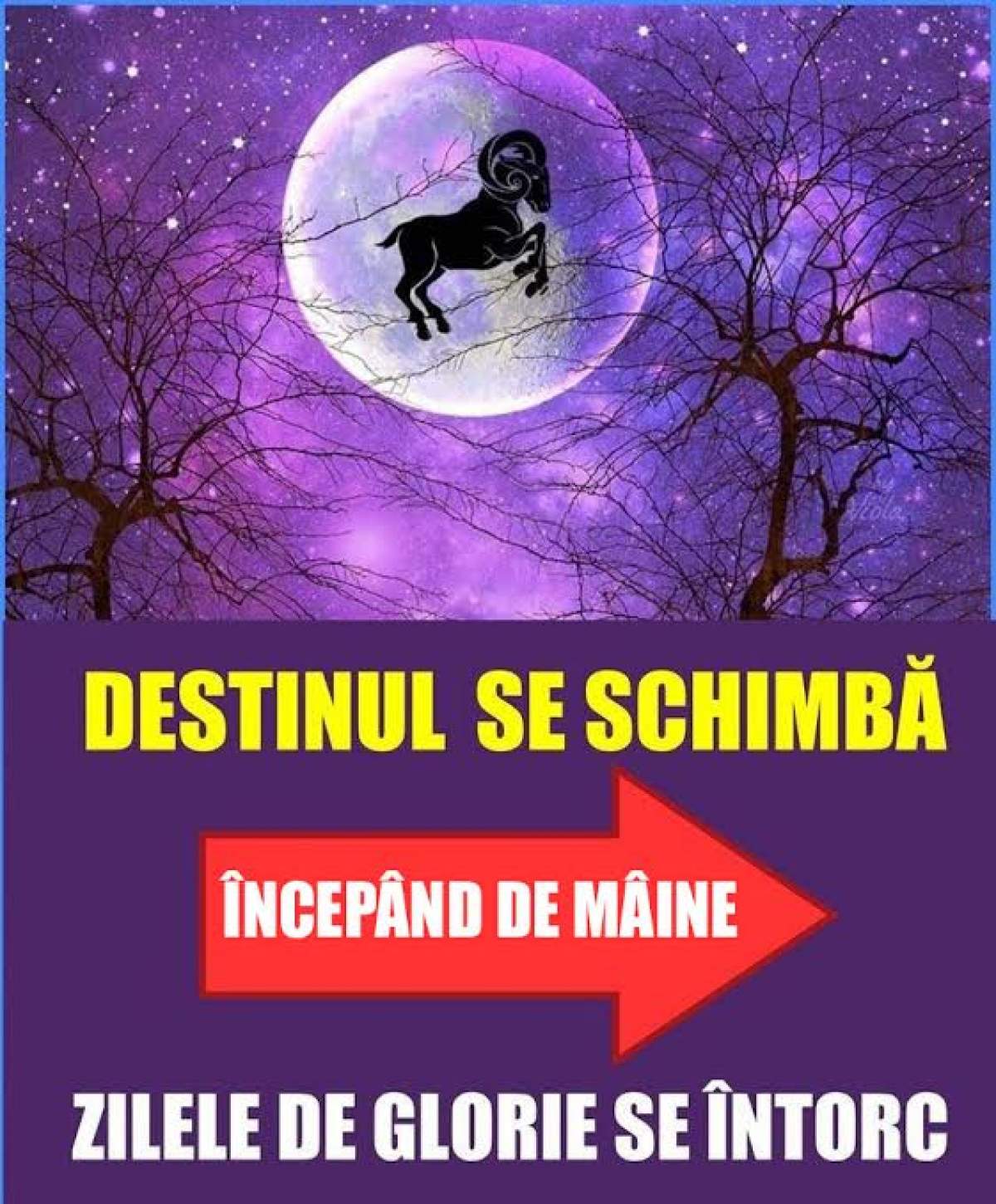 Destinul se schimbă pentru aceste zodii începând de mâine!