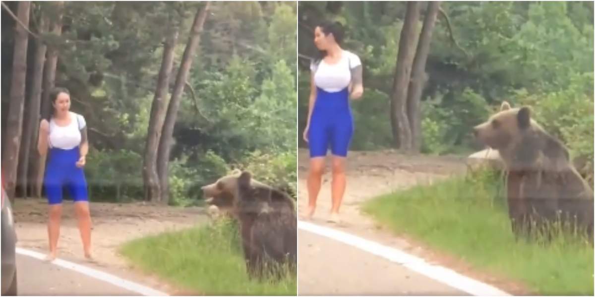 O tânără a fost atacată de ursul alături de care voia să se fotografieze, la Predeal. Inconștiența o putea costa scump