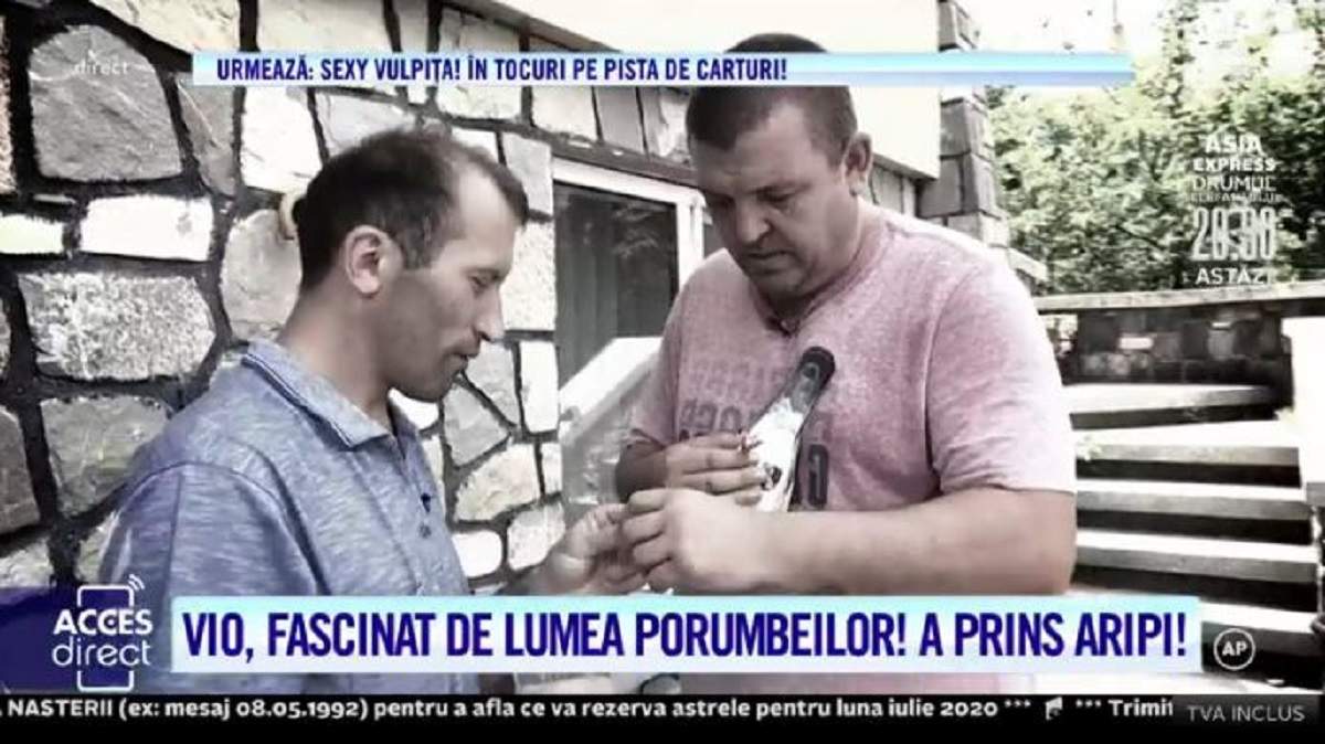 Viorel a dat cu mătura mai ceva ca o gospodină! Soțul Veronicăi, îndrăgostit de porumbei! „S-au atașat de mine” / VIDEO