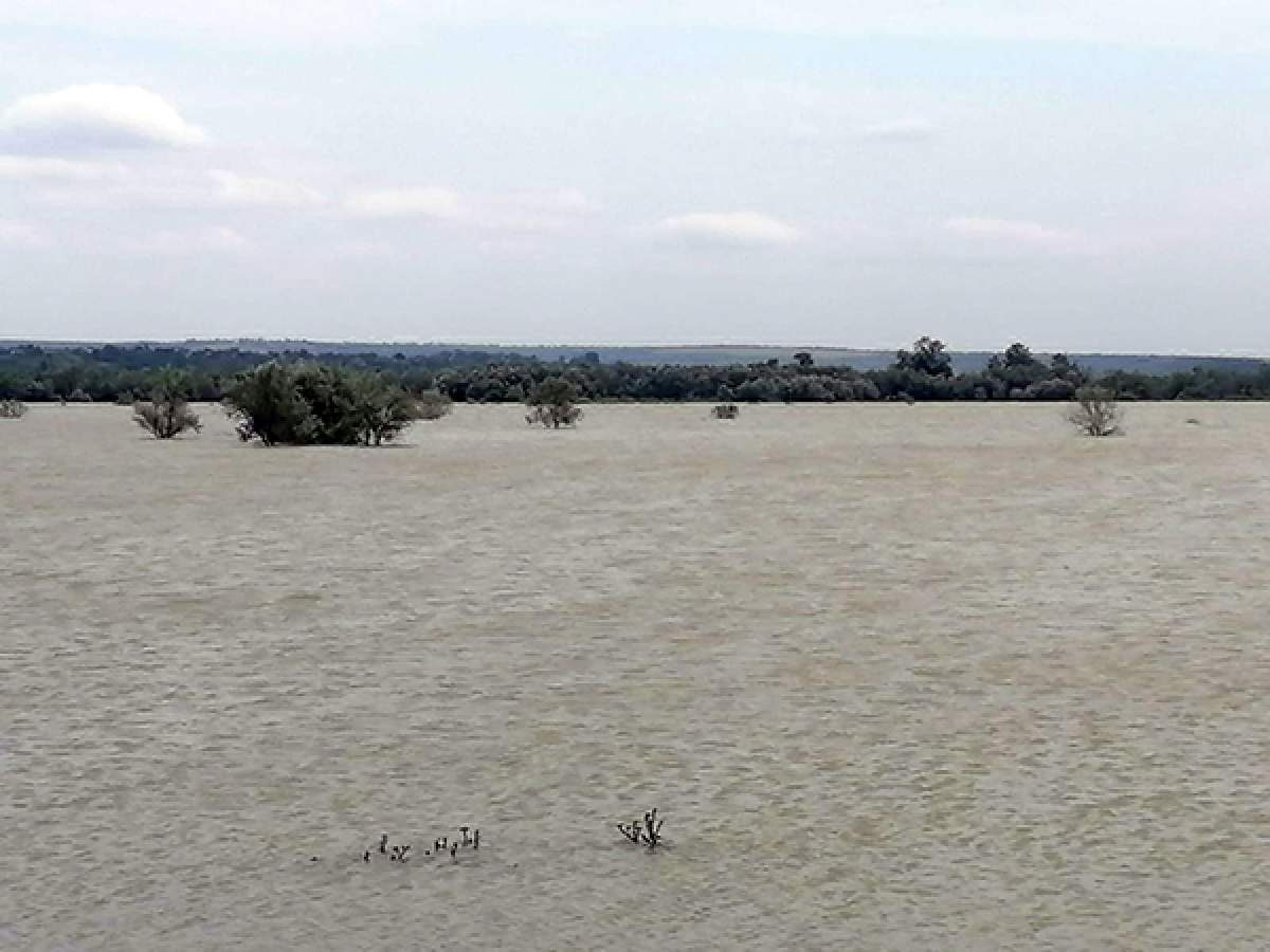 Un cioban a fost găsit înecat în Prut. Vasluianul a intrat în apă cu tot cu cal și căruță