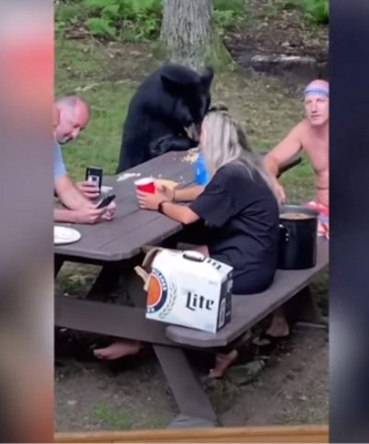 Imagini inedite cu familia care stă la masă cu un urs! Turiștii aflați la picnic au chemat animalul să mănânce cu ei / VIDEO