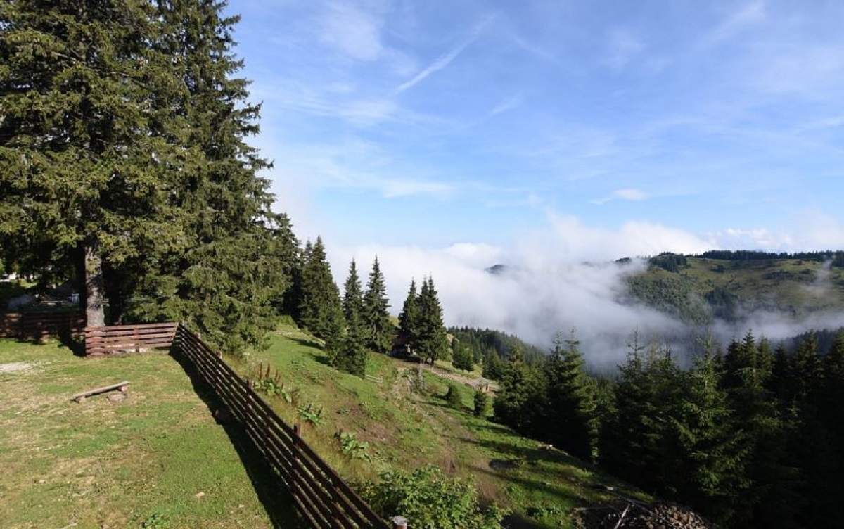 Descoperire înfiorătoare în Masivul Parâng! Cadavrul unui bărbat a fost găsit întâmplător de turiști!