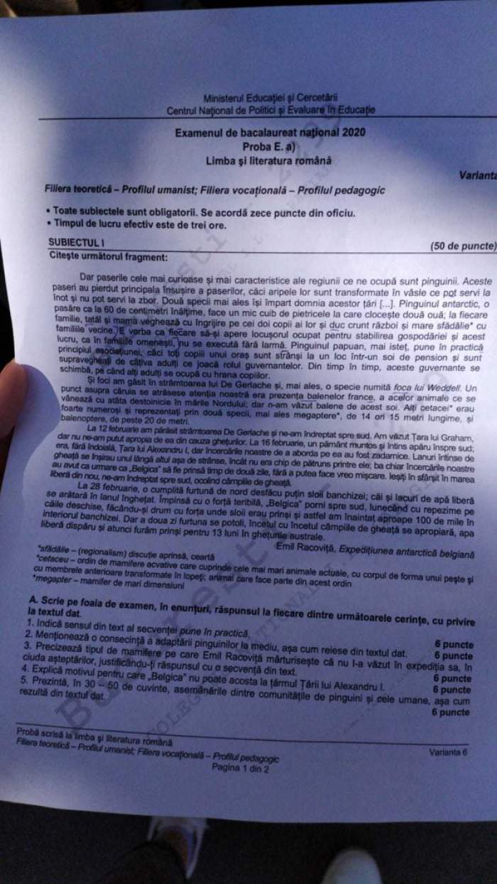 Bacalaureat de toamnă 2020. Ce subiecte au picat la Limba și Literatura română