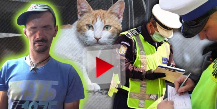 Decizie șocantă în cazul indivizilor care au spânzurat două pisici, în public! Declarații exclusive