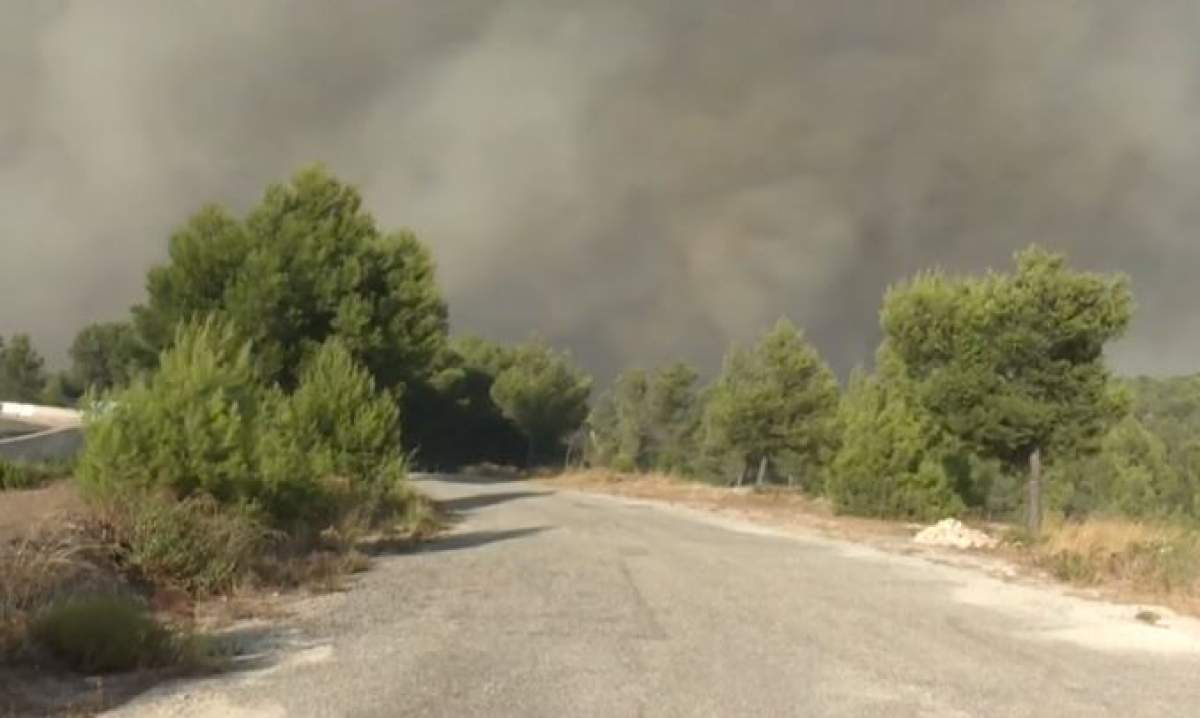 Incendiu puternic la vest de Marsilia! Aproape 3.000 de persoane au fost evacuate din calea flăcărilor / VIDEO