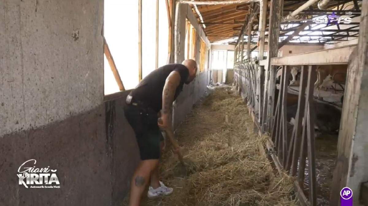 Giani Kiriță face curat la vaci. Vedeta adună lucerna cu furca