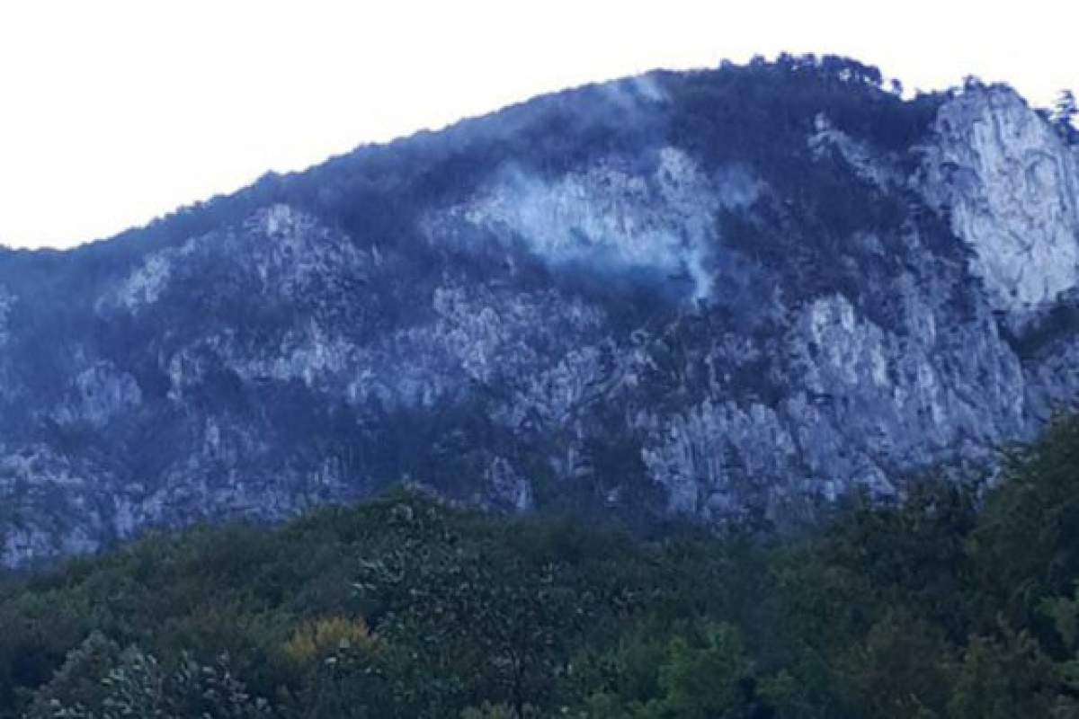 Incendiu puternic în Parcul Național Domogled din Mehedinți. Pompierii au intervenit cu elicopterul