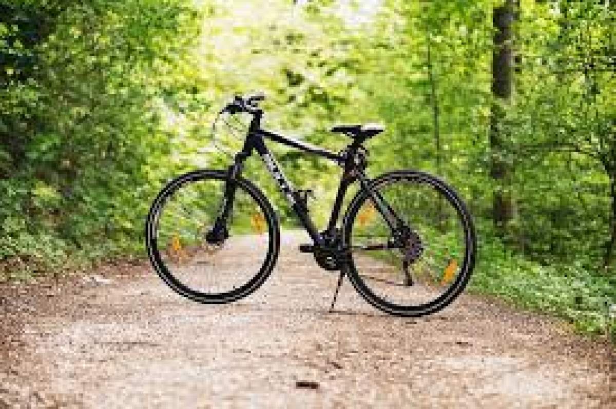 Fotografie cu o bicicletă neagră în pădure