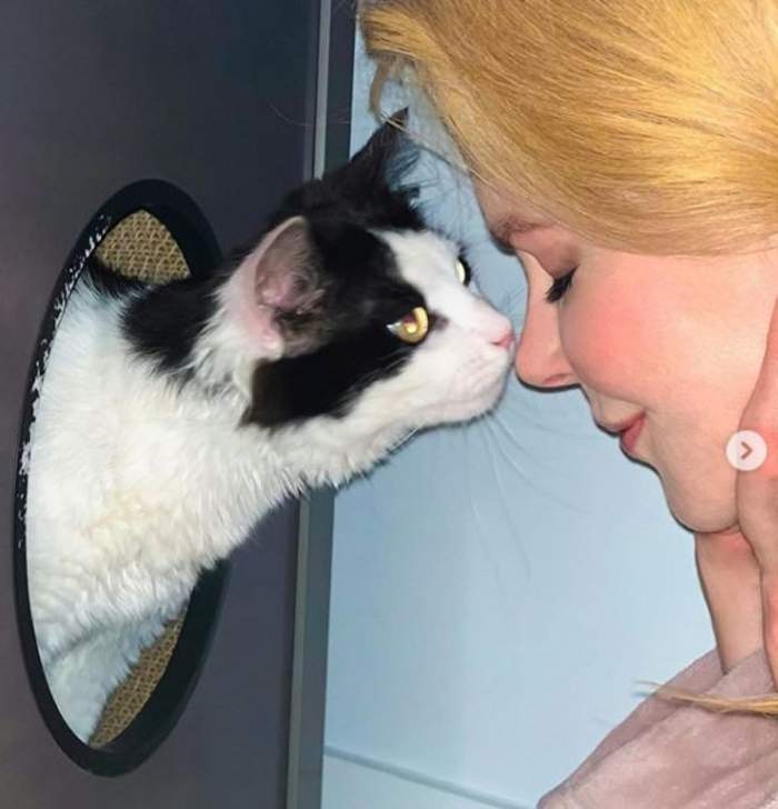 Nicole Kidman isi atinge nasul de noua ei pisica, Louis