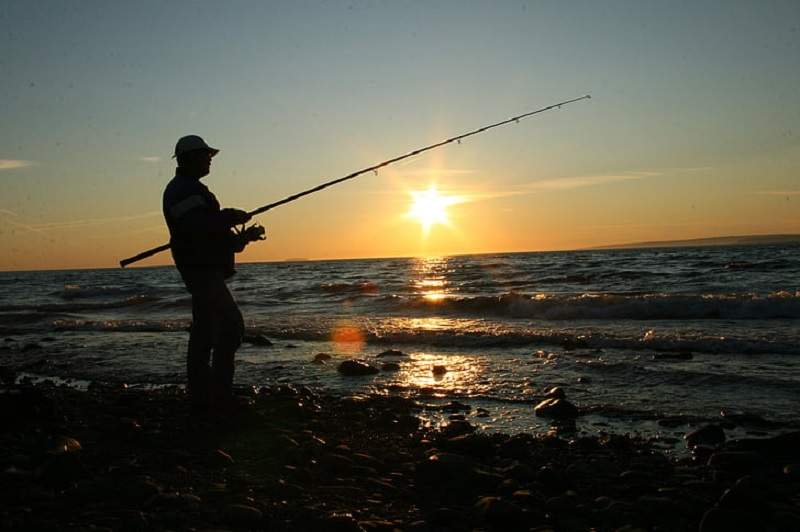 Pasiunea pentru pescuit în rândul vedetelor - 10 celebrități care pescuiesc.