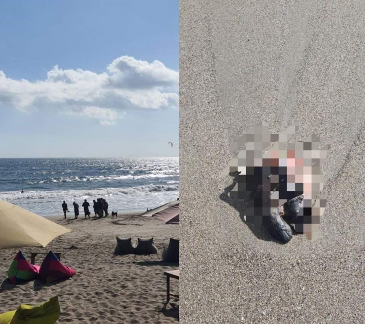 Descoperire macabră pe o plajă din Bali
