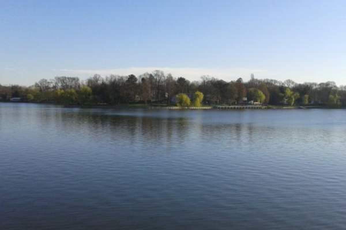 Fotografie cu lacul din Herăstrău, pe fundal fiind și câțiva pomi