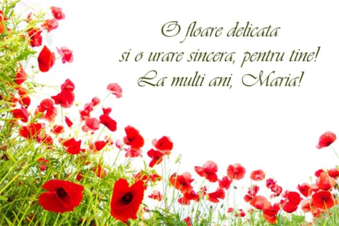 Mesaje de „La mulți ani” pentru Sfânta Maria mică. Felicitări și poze pentru cei dragi