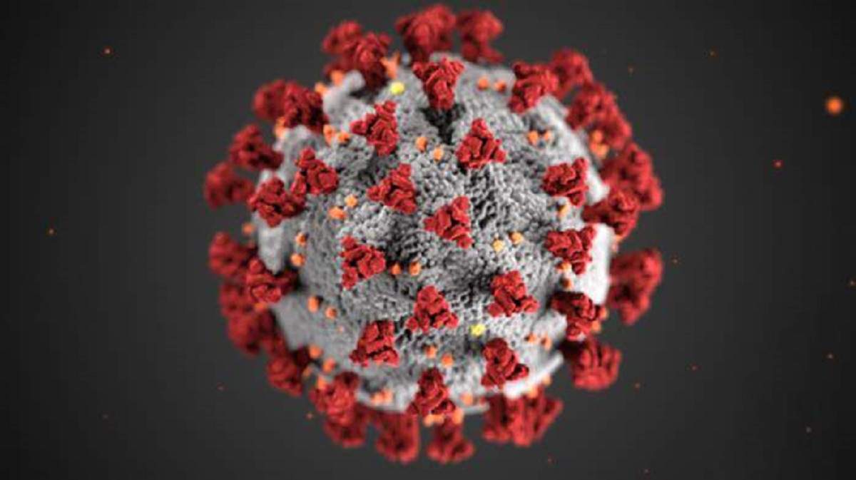 Imagine ilustrativă pentru noul coronavirus