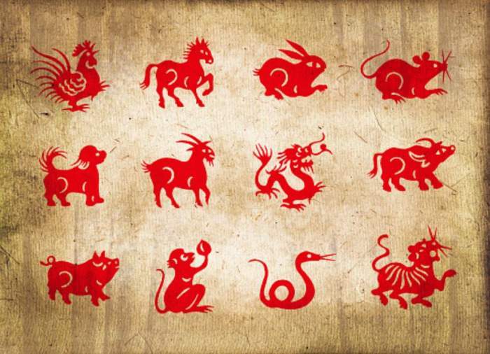 imagine ilustrativa zodiac chinezesc