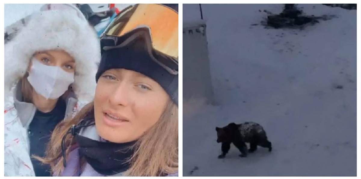 Un colaj cu Ana Baniciu, Raluka și un urs. Cele două poartă echipament de ski, iar animalul sălbatic merge prin zăpadă.