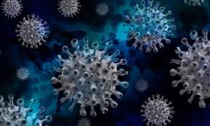 Care sunt noile tulpini de coronavirus și ce efecte au avut ele asupra pandemiei