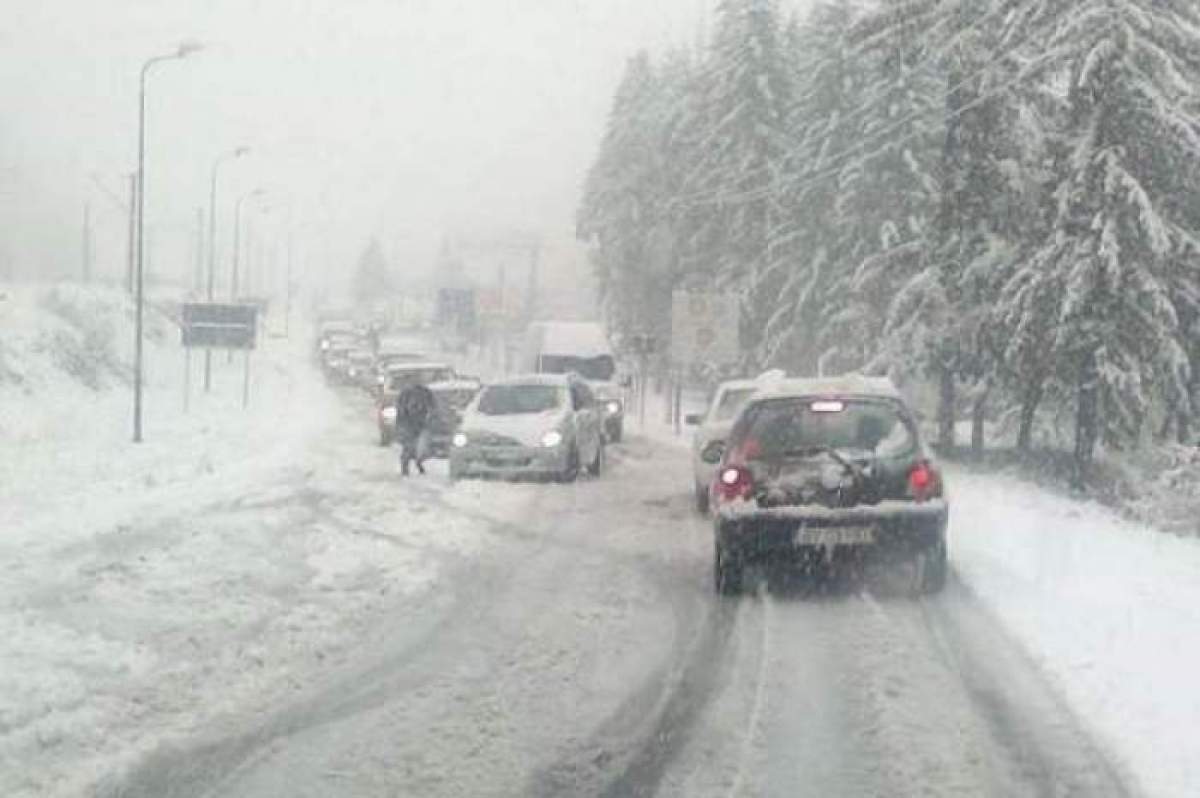 Mașini înzăpezite.