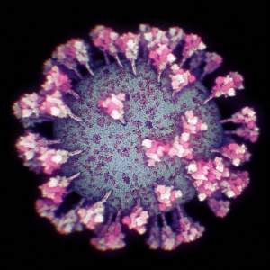 Ce țară a învins pandemia de SARS-CoV-2. ”Nu mai există coronavirus”