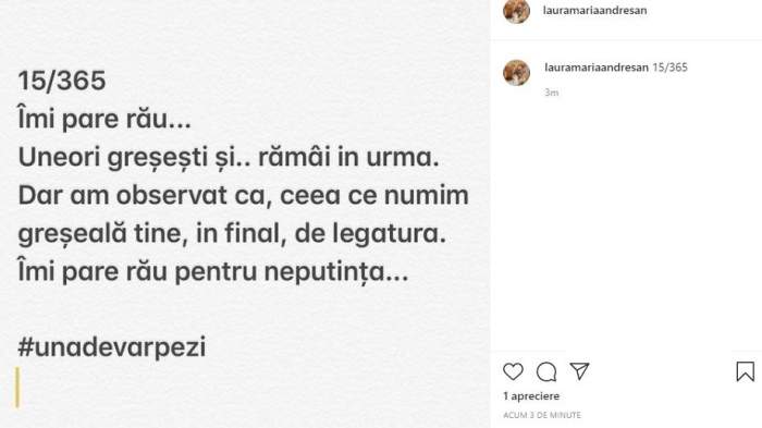 Captură cu mesajul postat de Laura Andreșan.