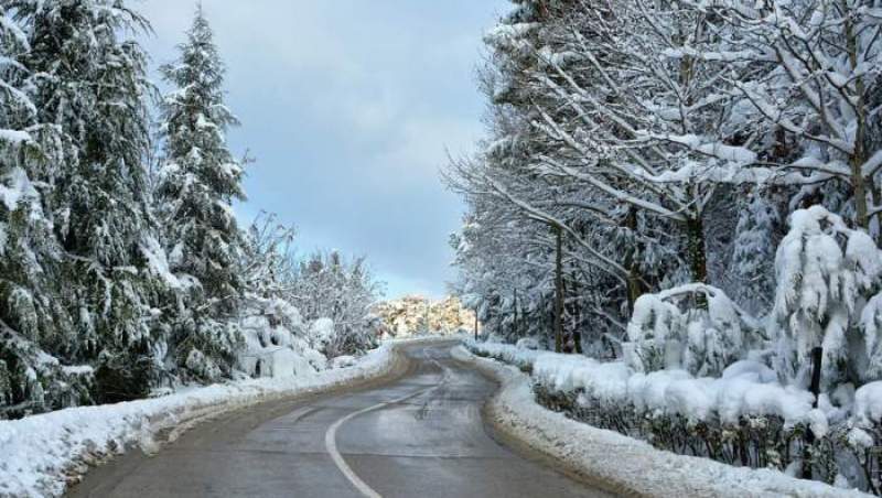 Avertizare meteo! ANM anunță ninsori, vânt și polei pentru sudul țării