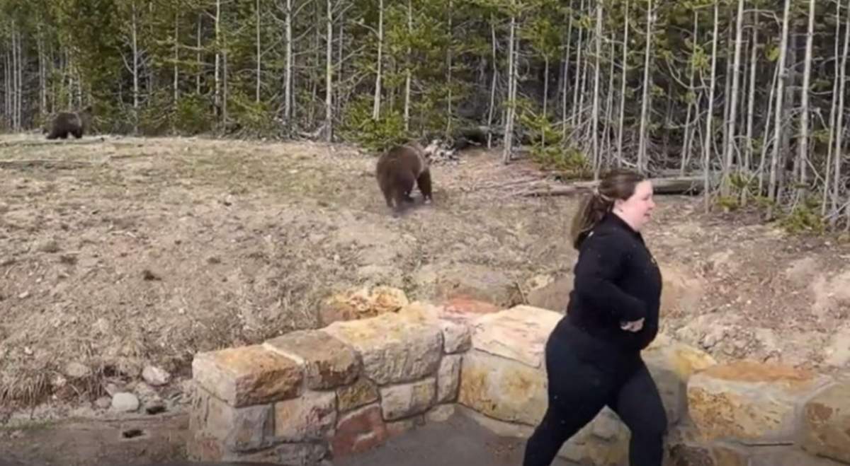 femeia voia sa fotografieze urșii