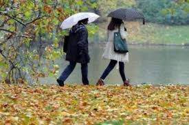 Două persoane care merg prin parc, cu umbrelele deschise