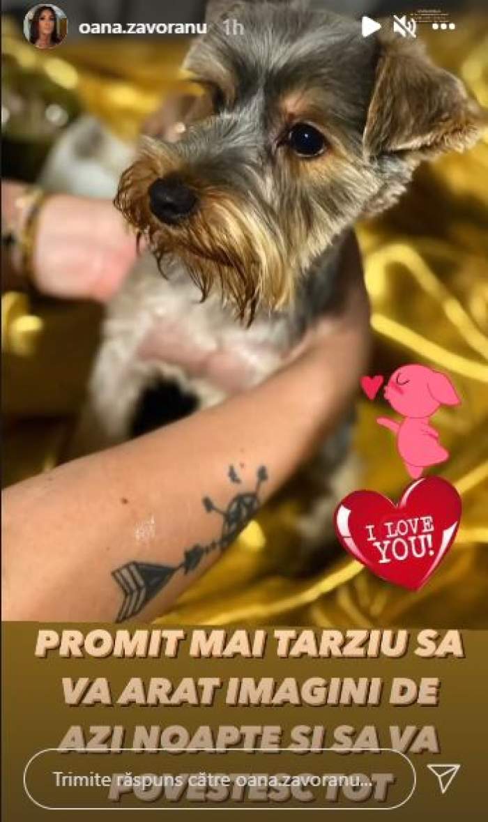 Oana Zăvoranu și-a găsit animalul de companie! Căutările au durat mai bine de 12 ore / FOTO