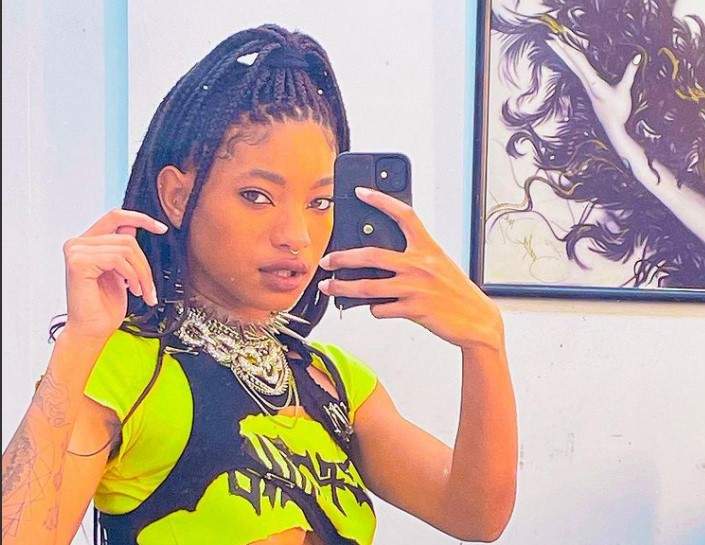 Willow Smith, selfie în oglindă