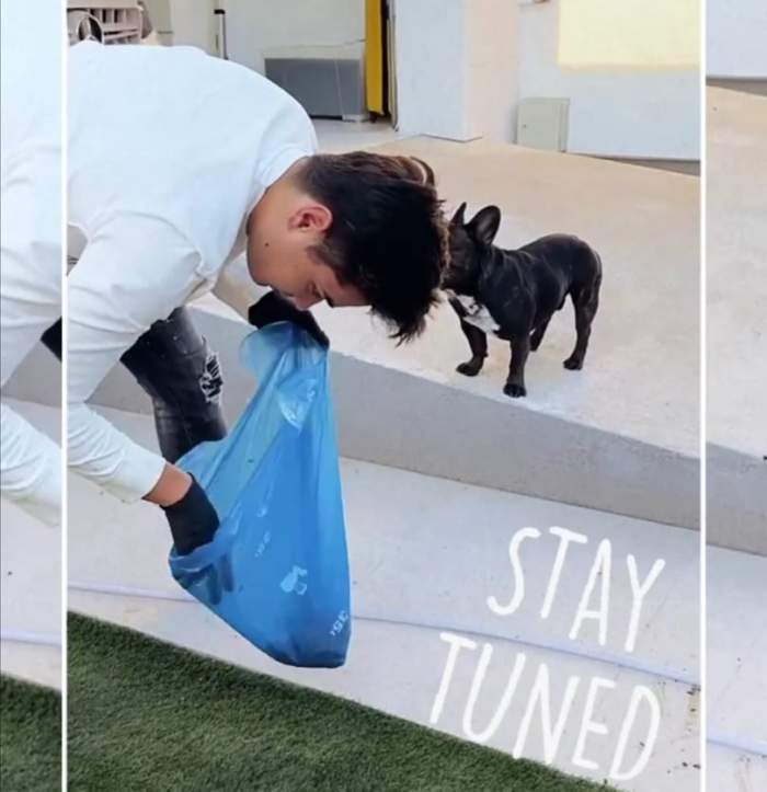 Selly face curat după Cheșuțu