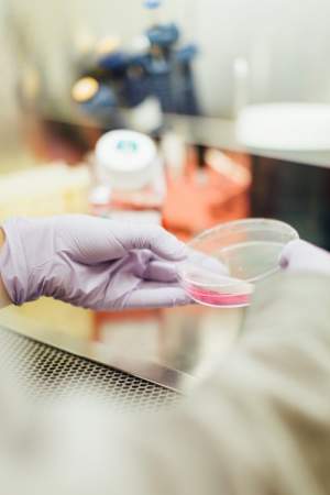 Cercetătorii români au creat testul PCR care indică tulpina COVID-19 și în ce stadiu este boala. Reușita a avut loc la Iași