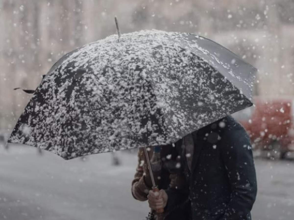 persoană cu umbrela în timp ce ninge