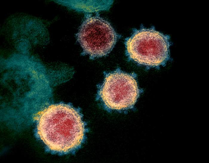 A fost descoperită o nouă tulpină COVID, cu peste 30 de mutaţii. Este cea mai contagioasă versiune a coronavirusului