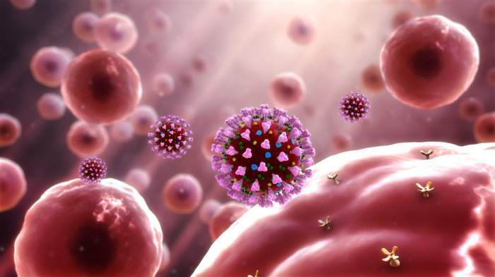 Bilanț coronavirus în România, 26 noiembrie