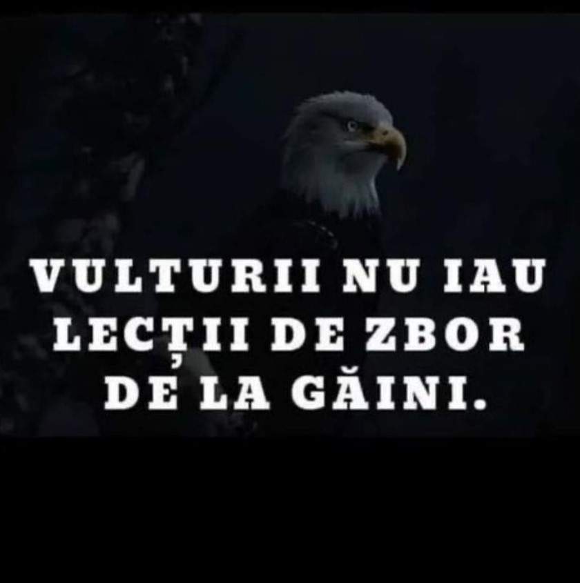 Răspunsul Anamariei Prodan pentru cei care spun că e cu ”nasul pe sus”: „Nu iau lecții de la toate găinile care se cred vulturi”