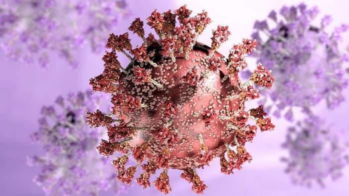 Omicron și Delta ar putea crea un virus mai periculos decât COVID-19 . Anunțul îngrijorător făcut de un virusolog român