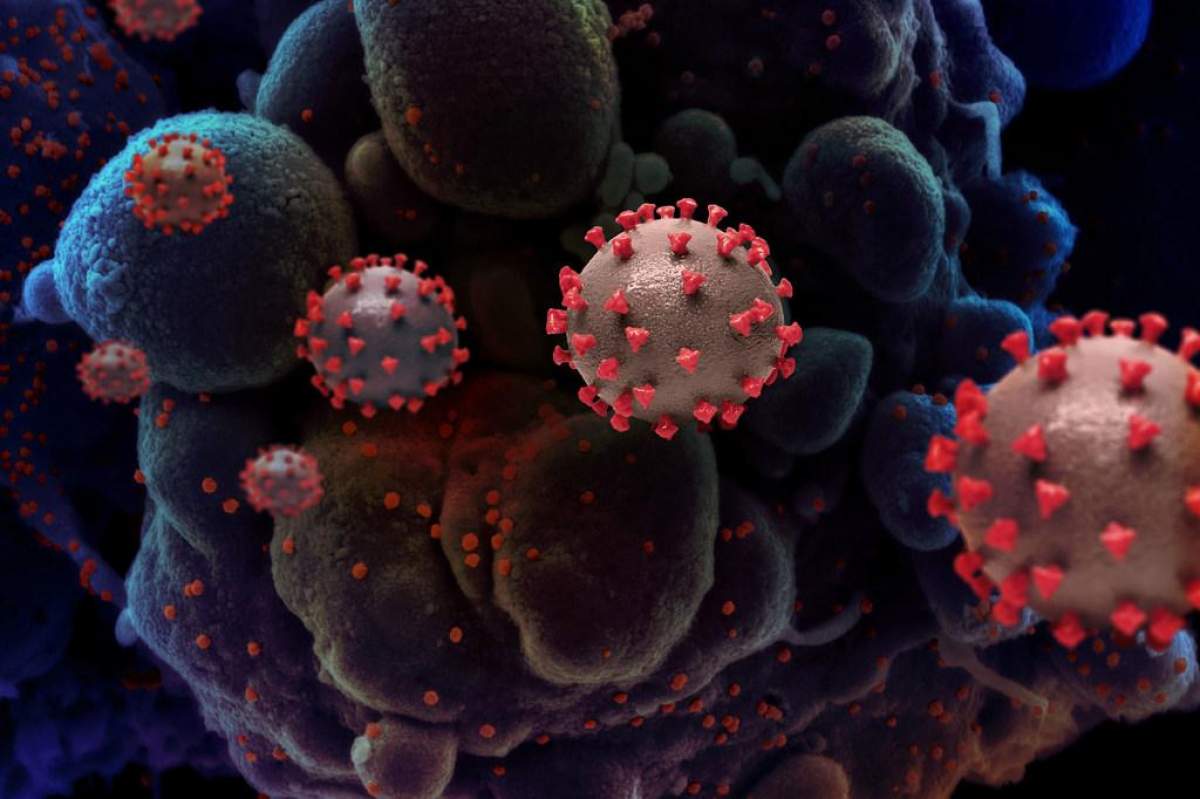 Bilanț coronavirus în România, 19 decembrie. Peste 400 de cazuri și 53 de decese, în ultimele 24 de ore