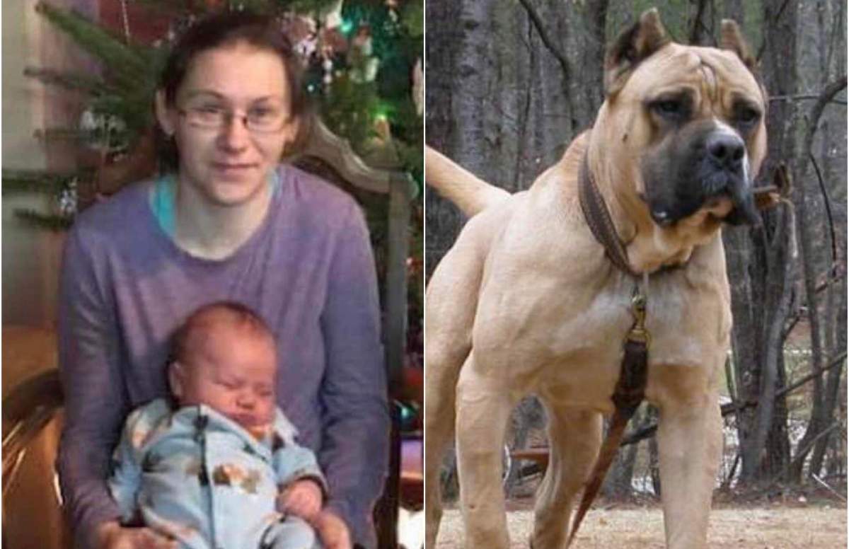 Heather Pingel, o mamă eroină de 35 de ani, s-a stins din viață încercând  să-și salveze fiul de doar 4 anișori