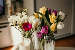 Flori de primăvara de gradină - imagini, denumiri și sfaturi pentru îngrijirea lor