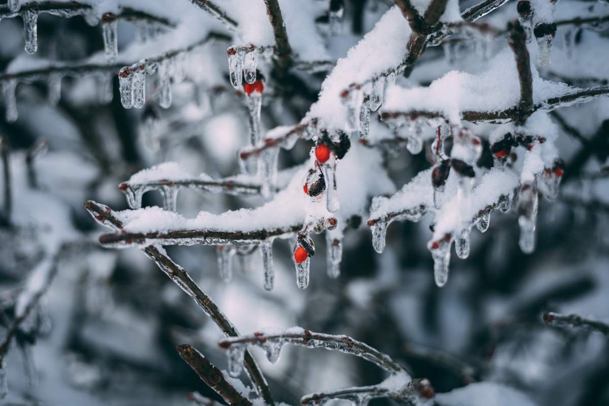 Alertă de vreme geroasă pentru următoarele patru zile