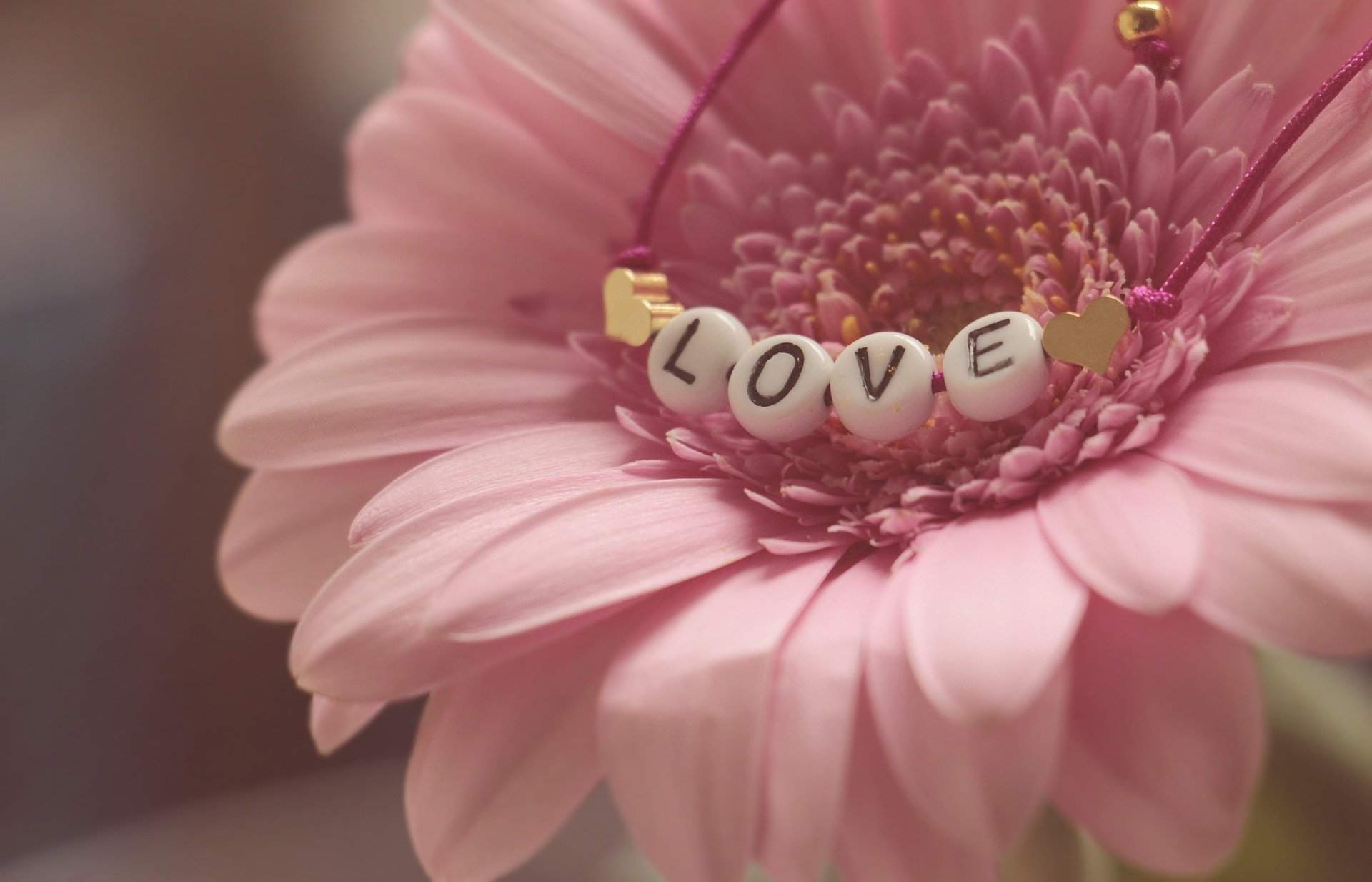 Ce este, de fapt Ziua Îndrăgostiților! De unde provine legenda Sfântului Valentin