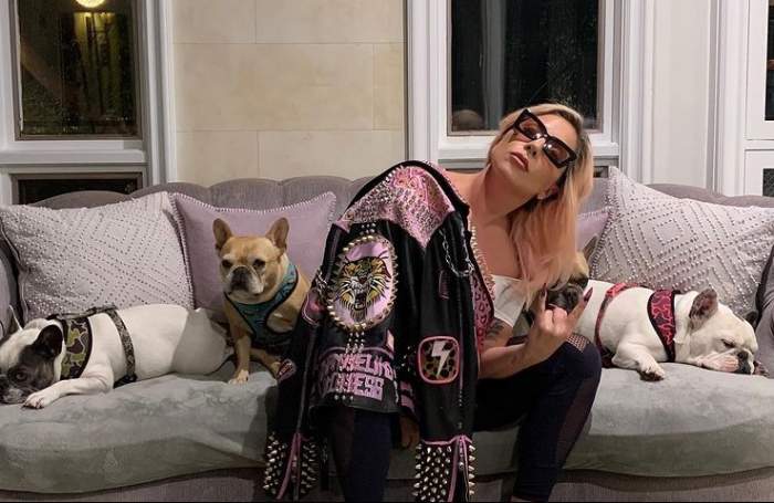 Lady Gaga alături de câinii ei