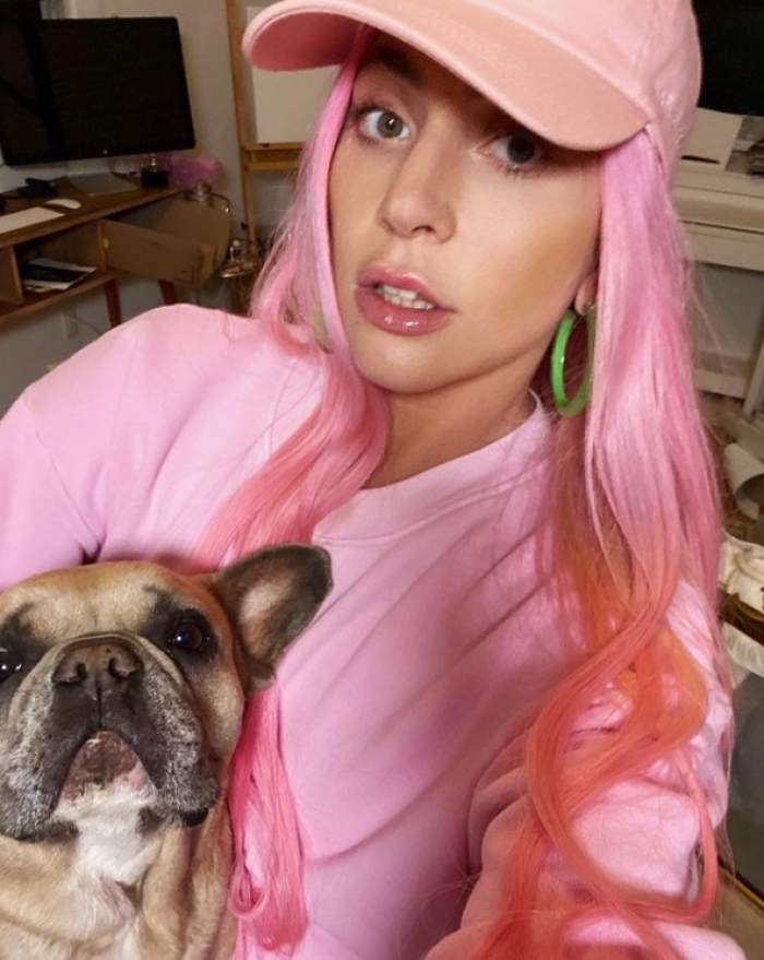 Ce recompensă colosală oferă Lady Gaga pentru recuperarea câinilor ei. Animalele de companie ale artistei au fost furate în urma unui atac