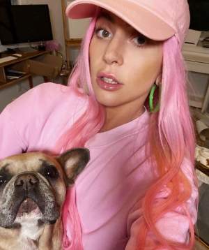 De ce ar fi fost furați câinii lui Lady Gaga și ce s-a întâmplat cu bărbatul care îi plimba / VIDEO
