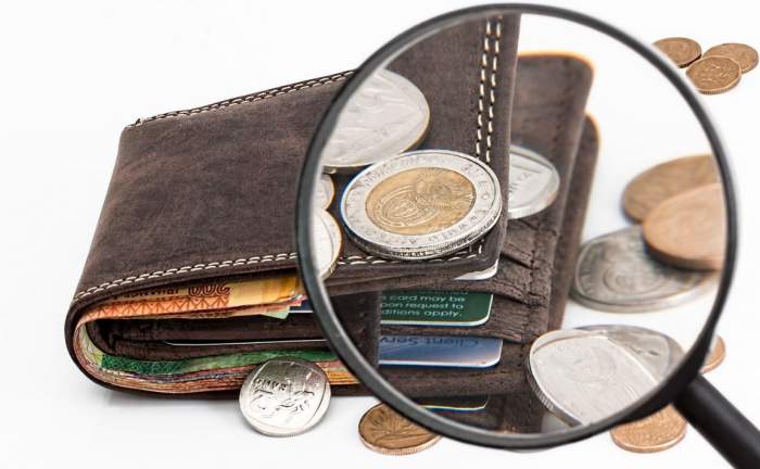 Imagine simbol cu un portofel. Prin cadrul unei lupe sunt văzuți mai bine banii și cardurile.