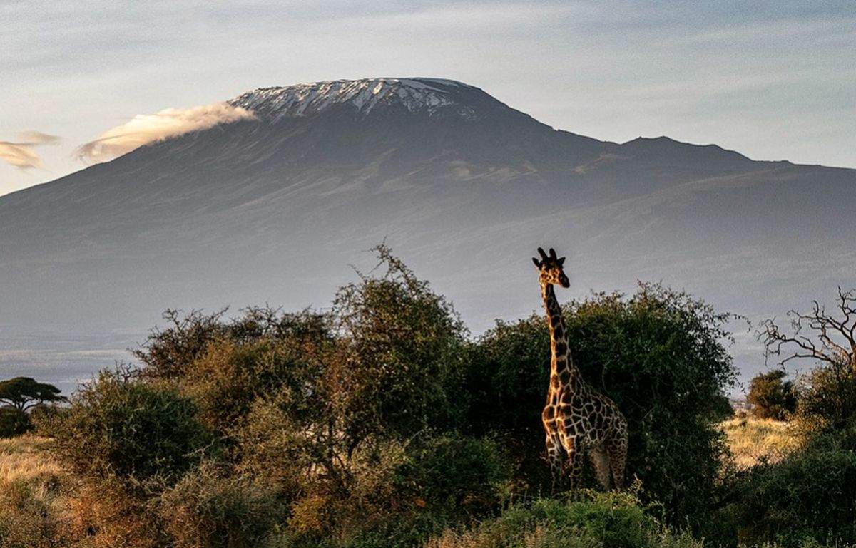 peisaj superb din kenya