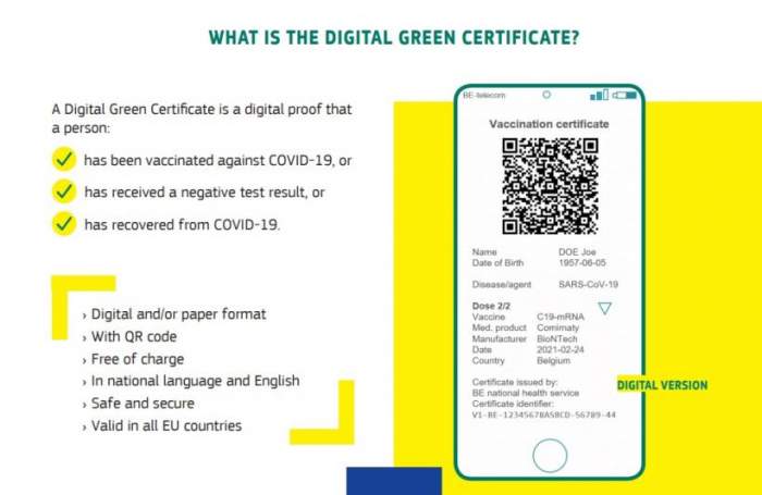 Cum arată certificatul de vaccinare propus de Comisia Europeană. Cine îl are va putea călători fără restricții / FOTO