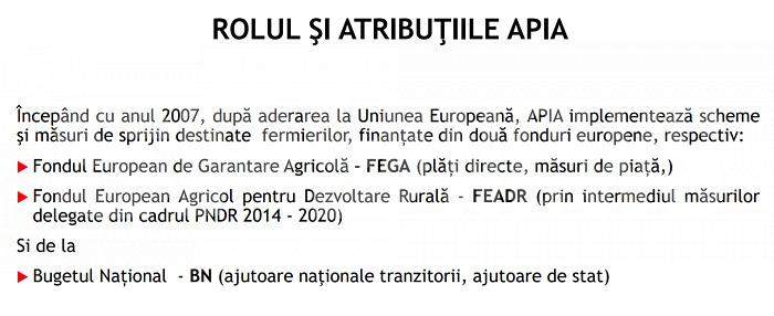 Nevastă de polițist, afaceri dubioase cu fonduri europene, cu „dezlegare” de la tribunal / Un avocat celebru susține că judecătorii i-au făcut „manevră” / Documente exclusive